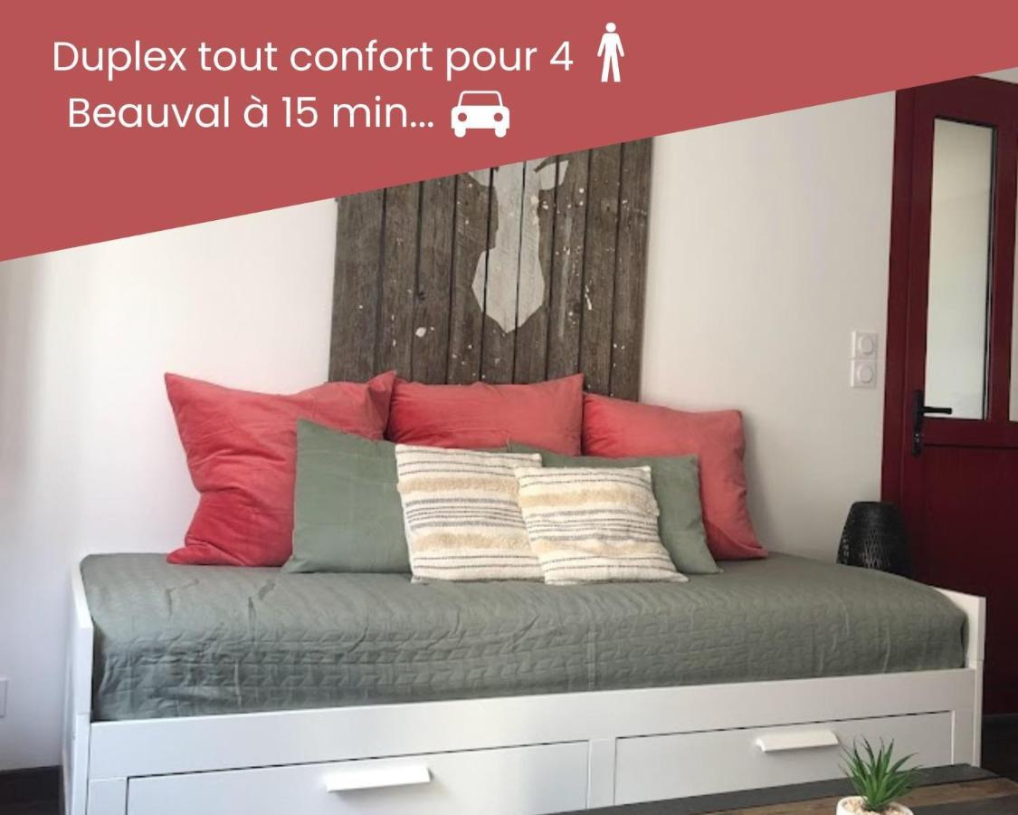 Duplex/beauval & Chateaux Apartment Selles-sur-Cher